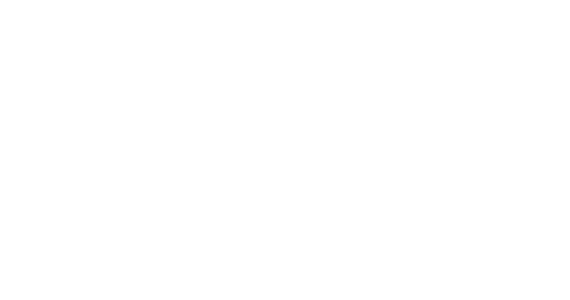 logo_2