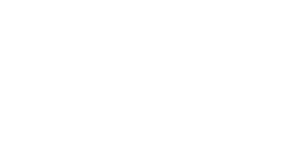 logo_30